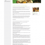 Supporting image/screenshot for Fulton County Arts Council